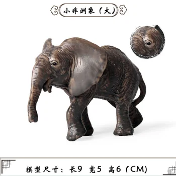  Maza Izmēra Āfrikas Ziloņu Dzīvnieku Attēls Kolekcionējamu Rotaļlietu Savvaļas Dzīvnieku Darbības Rādītāji Bērniem Plastmasas Cementa Rotaļlietas