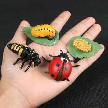  Simulācijas Dzīvniekiem Augšanas Cikla Bišu Mārīte zirnekļa Dzīvības Bērniem Skaitļi Rotaļlietas Statuetes Izglītības Modeļi, Plastmasas Cikla Darbība